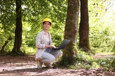 Ormanda çalışan bilgisayarlı sert şapkalı Forester.