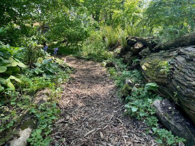 Yol manzarası ve botanik bahçesindeki yeşil bitkiler