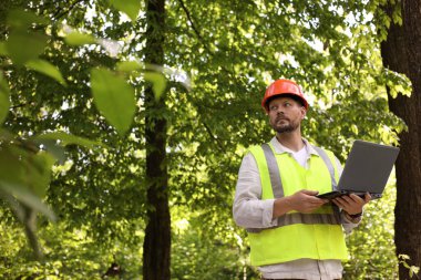 Forester in hard hat with laptop working in forest clipart