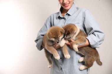 Akita Inu yavrularını arka planda tutan kadın, yakın plan. Metin için boşluk