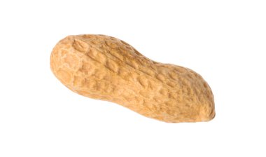 Taze soyulmamış bir fıstık beyazda izole edilmiş.