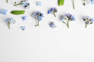 Beyaz arka planda güzel unutma beni çiçekleri, düz yatıyordu. Metin için boşluk