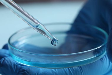 Doktor pipetten petri kabına sıvı damlatıyor. Arka planda bulanık, yakın plan. Laboratuvar analizi