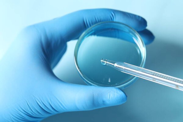 Doctor dripping liquid from pipette into petri dish at light blue table, closeup. Laboratory analysis