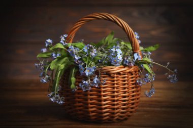 Güzel unutma beni çiçekleri hasır sepetin içinde, ahşap masada.