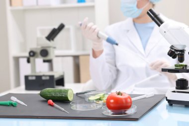 Quality control. Food inspector working in laboratory, selective focus