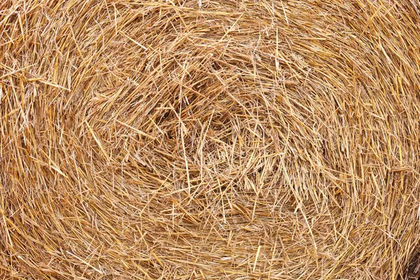 stock image Hay bale roll as background, closeup view