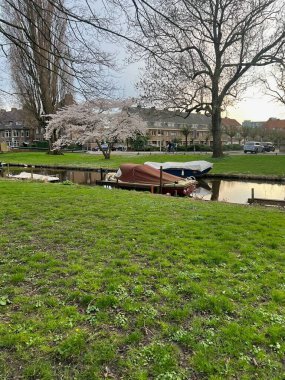 Kentte demirli tekneler ve çiçek açan ağaçlarla dolu bir kanal manzarası.