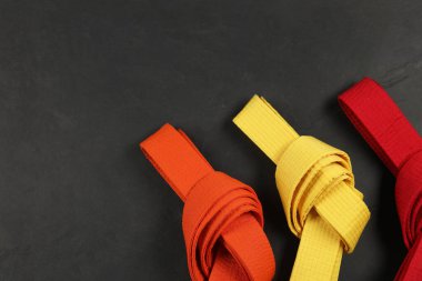 Gri arka planda renkli karate kemerleri, düz yatış. Metin için boşluk