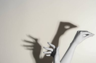 Gölge kuklası. Kadın el hareketi yapıyor, arka planda bir kuğu gibi, mesaj için yeri olan yakın plan. Siyah ve beyaz etkisi