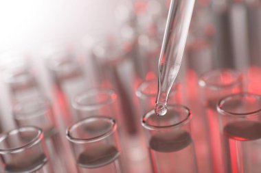 Işık arka planında pipetten test tüpüne sıvı damlatılıyor, yakın plan