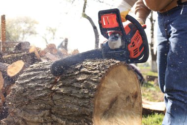Man sawing wooden log on sunny day, closeup