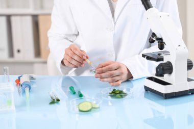 Kalite kontrolü. Laboratuvarda dereotu inceleyen gıda müfettişi, yakın plan.