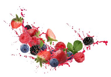 Farklı böğürtlenler ve su damlaları.