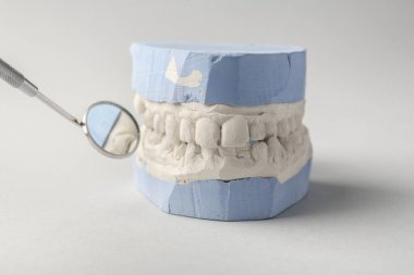 Gri arka planda diş eti ve ağız aynası olan bir model, yakın plan. Diş kalıpları