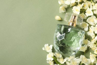 Güzel yasemin çiçeklerinin arasında, soluk yeşil arka planda, şişede Aromatik parfüm. Metin için boşluk