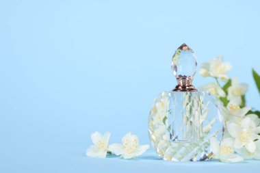 Şişede Aromatik parfüm ve açık mavi arka planda güzel yasemin çiçekleri, yakın plan. Metin için boşluk