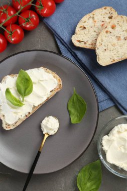 Krem peynirli ekmek parçaları, fesleğen yaprakları ve domatesler gri masada, düz yatıyordu.