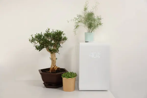 stock image Modern air humidifier and houseplants on white table