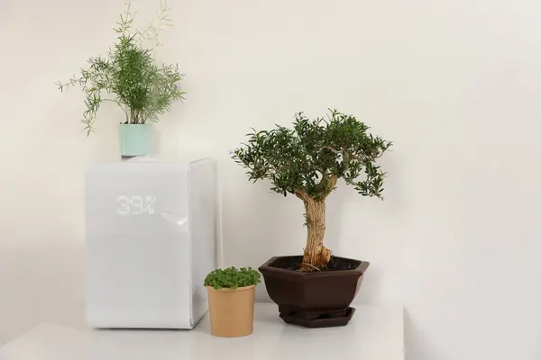 stock image Modern air humidifier and houseplants on white table. Space for text