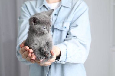 Woman with cute fluffy kitten indoors, closeup