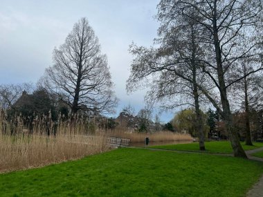 Parkta göl kenarında güzel ağaçlar ve yeşil çimenler