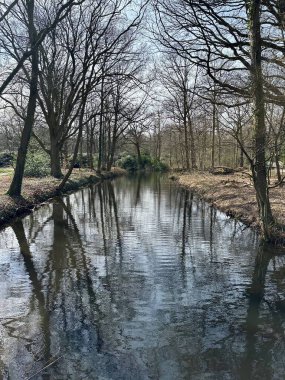 Bahar günü parktaki nehir ve ağaçların resimli görüntüsü.