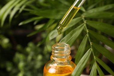 Pipetten dışarıya, şişeye yağ damlatıyorlar, yakın plan.