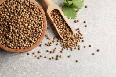 Kase içinde kurumuş kişniş tohumları, kepçe ve yeşil yaprak açık gri desenli masa, düz yatıyordu.