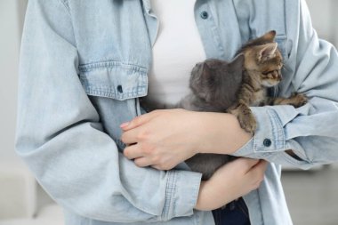 Woman with cute fluffy kittens indoors, closeup