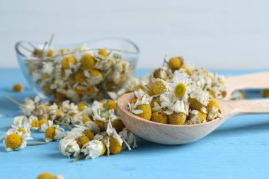 Kuru ve taze papatya çiçekleri açık mavi ahşap masa, yakın plan