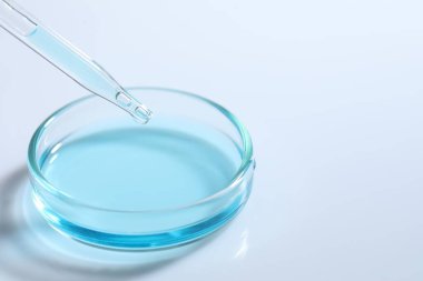 Beyaz masada pipetten petri kabına sıvı damlatıyor, yakın plan. Metin için boşluk