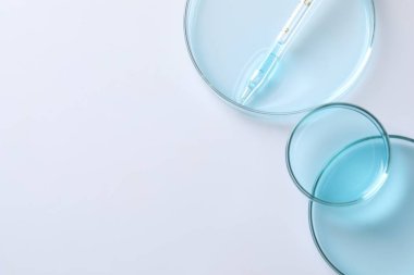Pipet ve petri kabını beyaz masada düz bir şekilde ölçmek. Metin için boşluk