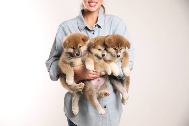 Akita Inu yavrularını kucağında tutan kadın, yakın plan