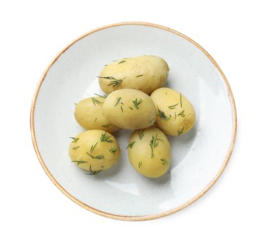 Genç haşlanmış patates ve dereotlu tabak beyaz, üst manzara.