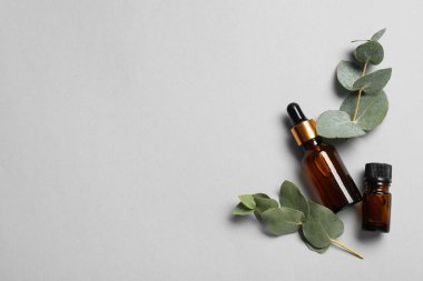 Aromaterapi. Açık gri arka planda gerekli yağ ve okaliptüs yaprakları, düz bir zemin. Metin için boşluk