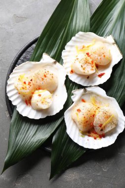 Baharatlı çiğ deniz tarakları, limon lezzeti ve gri desenli masa kabukları, üst manzara.