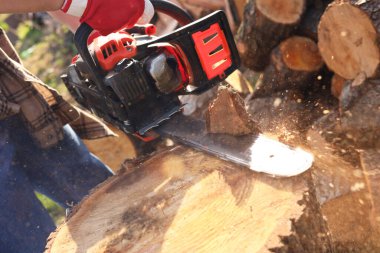 Man sawing wooden log on sunny day, closeup