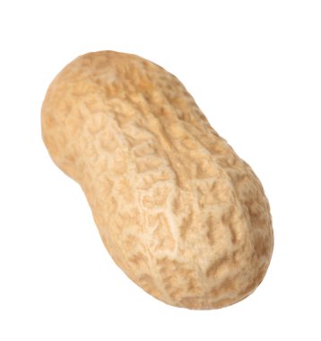 Taze soyulmamış bir fıstık beyazda izole edilmiş.