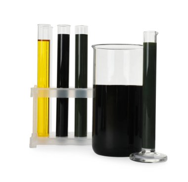 Laboratory glassware with different types of crude oil isolated on white clipart