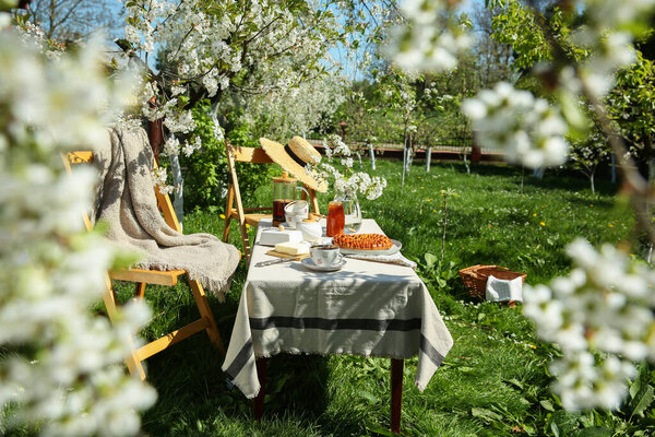 Beautiful table setting with spring flowers in garden on sunny day