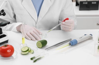 Quality control. Food inspector checking safety of products in laboratory, closeup