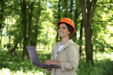 Forester with laptop examining plants in forest