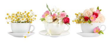 Fincanlarda lezzetli bitki çayı ve beyaz arka planda güzel çiçekler.