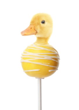 Sweet cake pop with duckling head on white background. Creative collage clipart