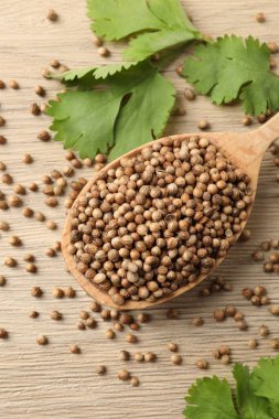 Kurumuş kişniş tohumlu kaşık ve ahşap masada yeşil yapraklar.