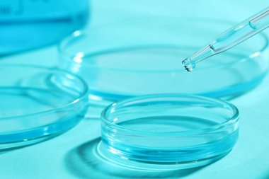 Açık mavi masada pipetten petri kabına sıvı damlatıyor, yakın plan. Laboratuvar analizi