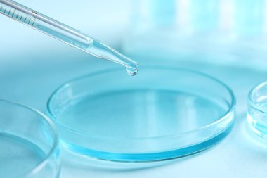 Pipetten petri kabına sıvı damlatıyor. Arka planda bulanık, yakın plan. Laboratuvar analizi