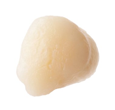 Bir taze çiğ deniz tarağı beyaza izole edilmiş.