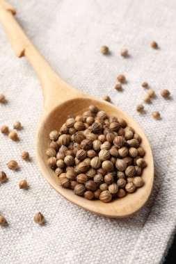 Kurumuş kişniş tohumlu kaşık kumaş, yakın plan.